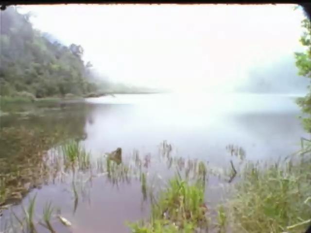探訪台灣大自然-8
秘深山湖泊－鴛鴦湖