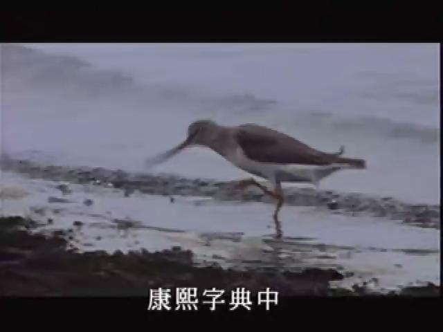 台灣大自然山林記事-2
鳥名