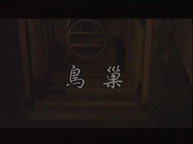 台灣大自然山林記事-3
巢