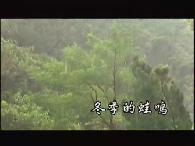 台灣大自然山林記事-5
蛙鳴