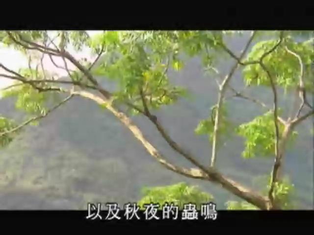 台灣大自然山林記事-16
大地歌手