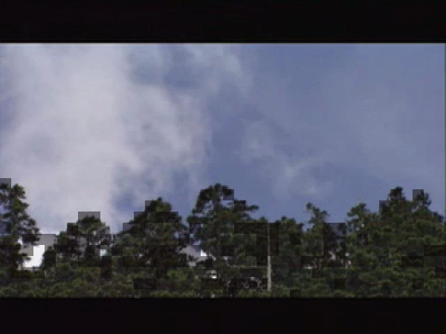 台灣大自然山林記事-19
大地彩衣