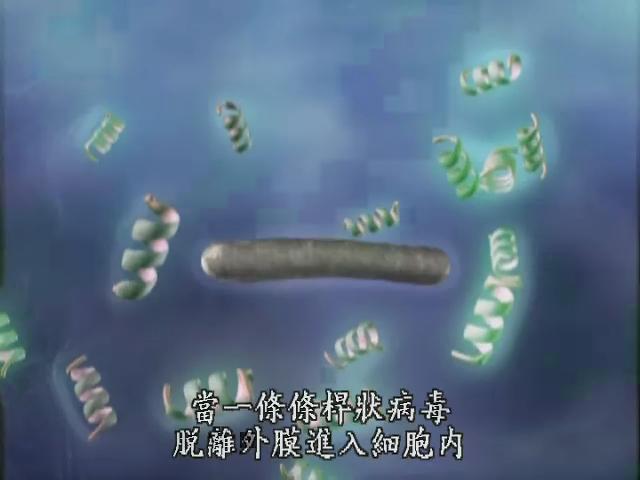 探索未知的世界Ⅱ-3
人造螢光蠶：基因工程揭密