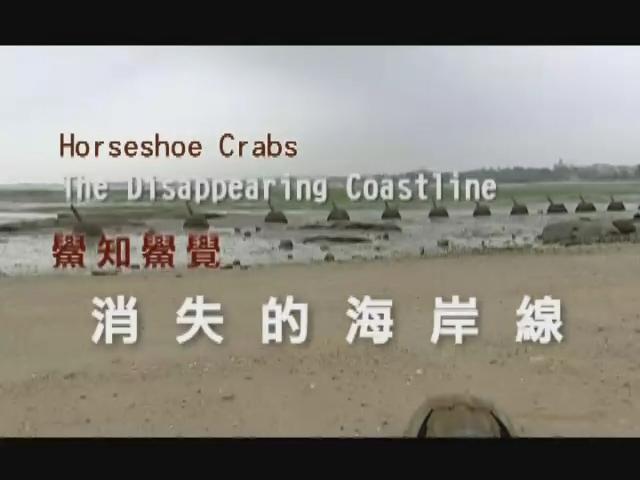探索未知的世界Ⅱ-4
消失的海岸線：鱟知鱟覺 