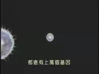 科技萬花筒-20
自然保育與生物多樣性(上) 