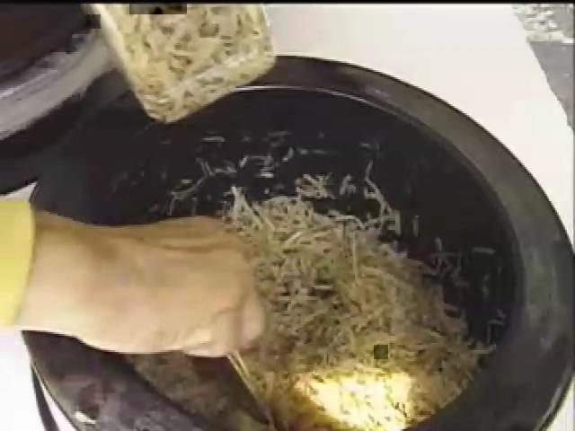 搶鮮一族-2
風味的改造者
