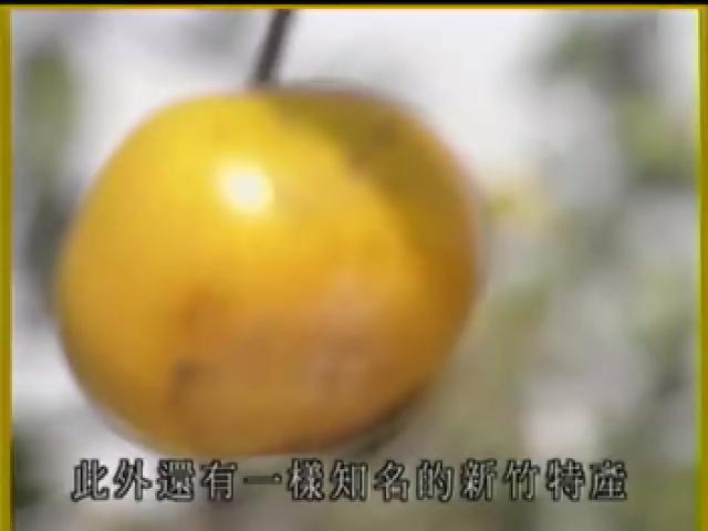 搶鮮一族-3
風吹金鈴柿餅香