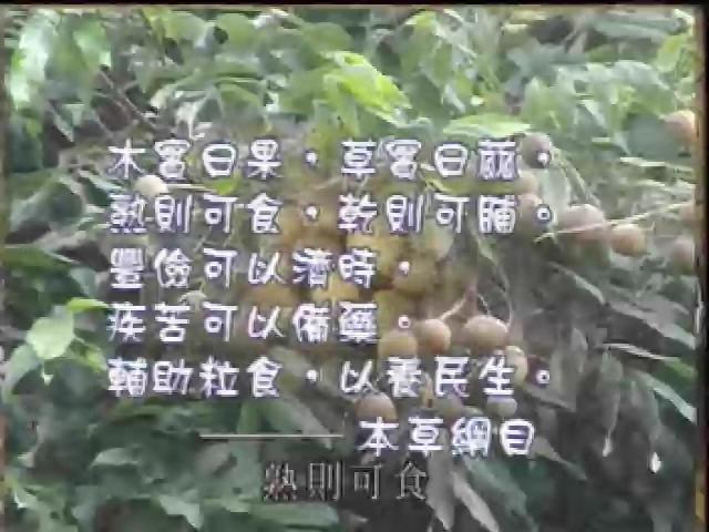 搶鮮一族-4
閒話果脯