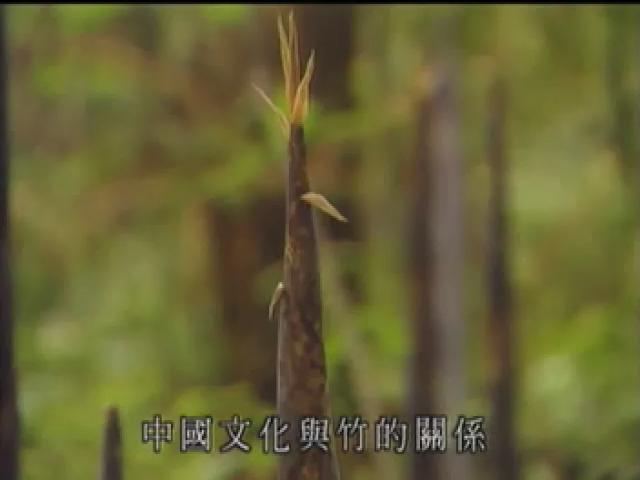搶鮮一族-8
竹筍