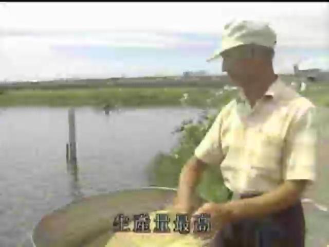 搶鮮一族-11
漁類