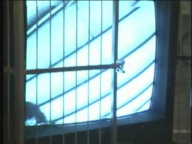 解放前衛-13
彭弘智