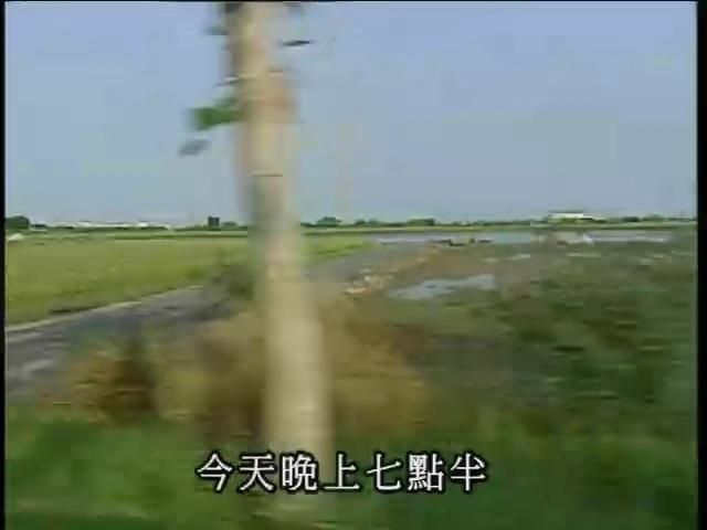 世紀的容顏-12
悲歡旅程