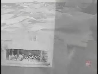 紀錄觀點-1
社長，不見了
