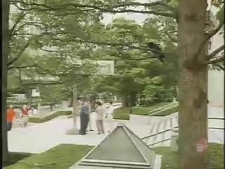 紀錄觀點-6
夢  土