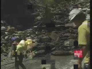 紀錄觀點-19
我們是布農族 / 布農族文教基金會的美麗與哀愁