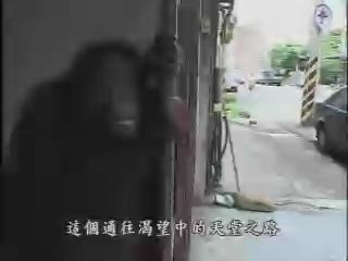 紀錄觀點-105
天堂路