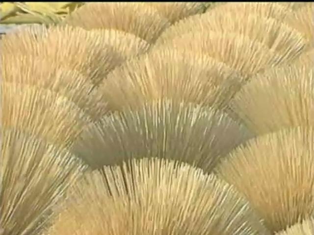 薪傳-台灣民間樂器篇-2
品仔（竹笛）