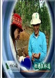 我們的島2007
22.相遇在林道