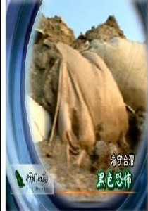 我們的島2007
28.黑色恐怖