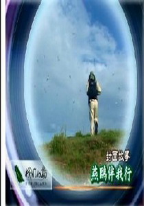 我們的島2007
29.燕鷗伴我行