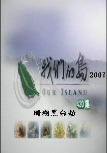 我們的島2007
32.珊瑚黑白劫