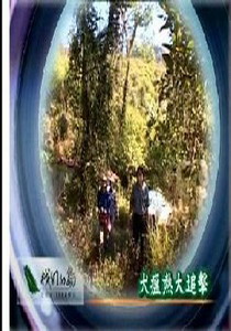 我們的島2008
8.犬瘟熱大追擊