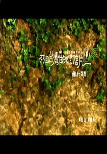 來自台灣的明信片8.
幽幽一葉蘭　阿里山：嘉義縣
