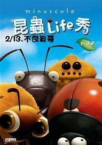 昆蟲LIFE秀【3D動畫】
第2集 13.不良追哥