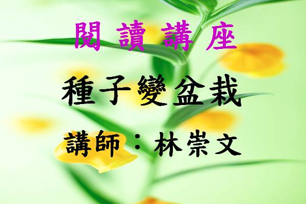 種子變盆栽