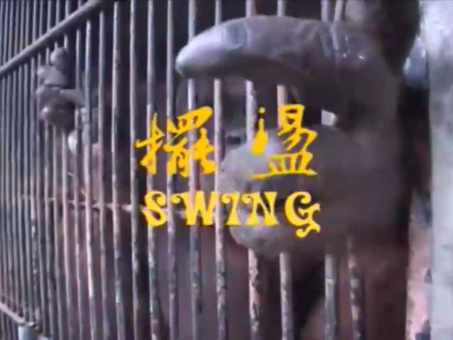 擺盪