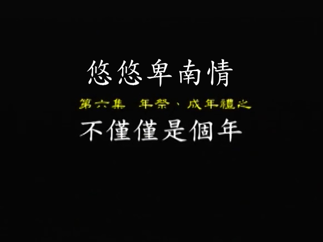 悠悠卑南情-6.不僅僅是個年