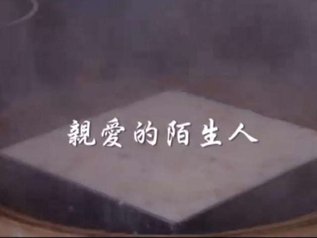 愛存在系列一:親愛的陌生人