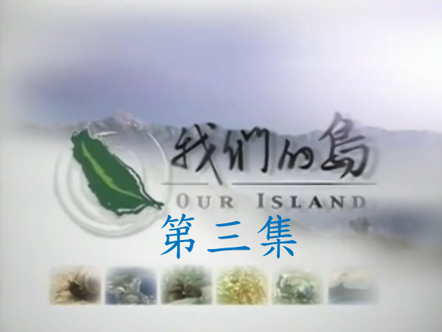 我們的島2011-3.開薑闢土,不一樣的自然課,愛戀彰化海岸