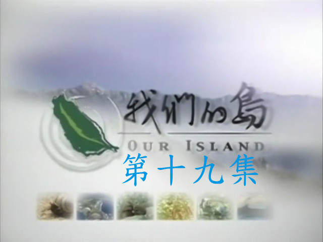 我們的島2011-19.國家濕地正名之戰,城市農夫,祕境丹大