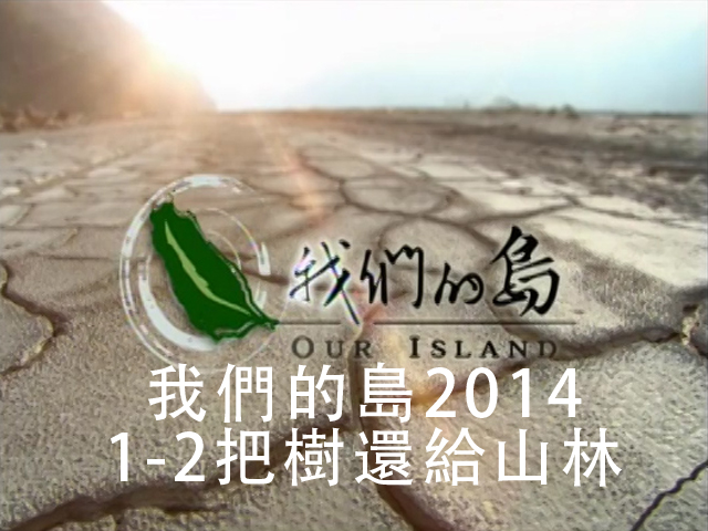 我們的島2014 1-2把樹還給山林