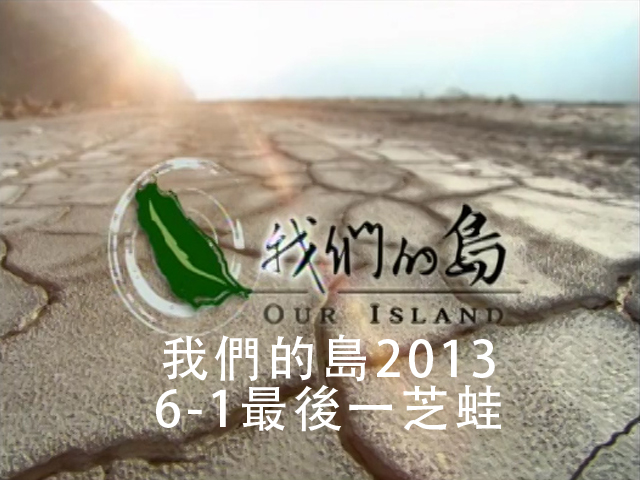 我們的島2013 6-1最後一芝蛙