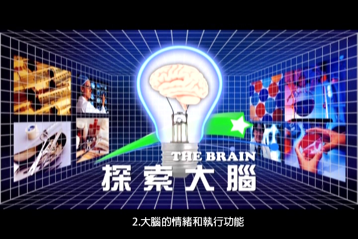 探索大腦.2,大腦的情緒和執行功能