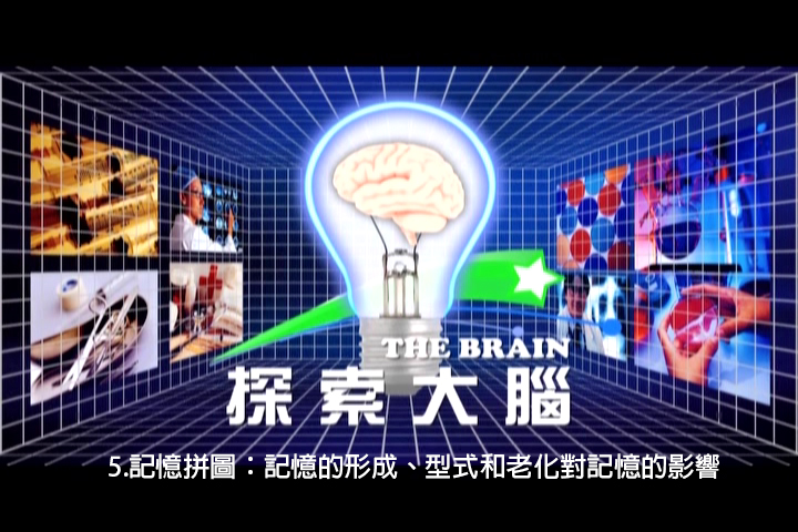 探索大腦.5,記憶形成:型式和老化對記憶的影響