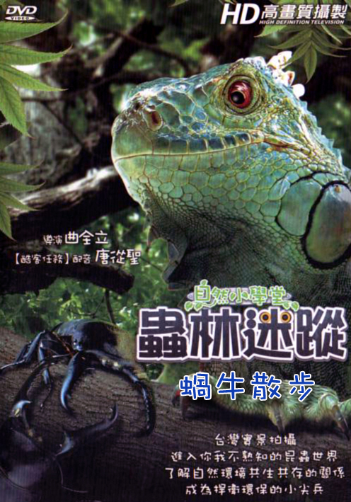 自然小學堂-蟲林迷蹤:蝸牛散步