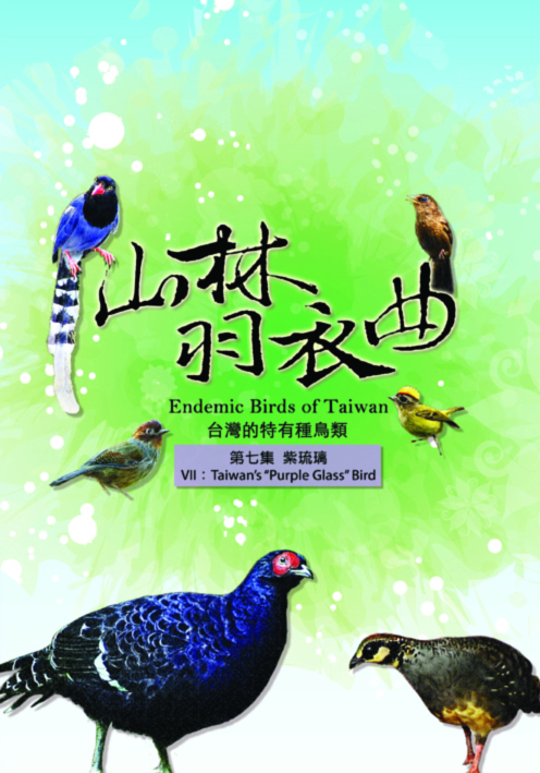 山林羽衣曲-台灣的特有種鳥類7:紫琉璃