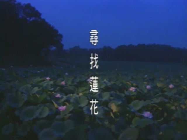 人生劇展-尋找蓮花
