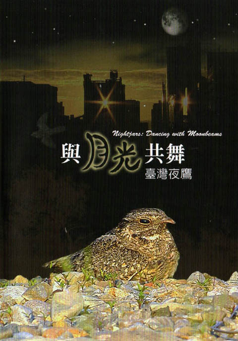 與月光共舞－台灣夜鷹