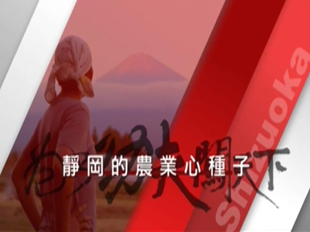 為了功夫闖天下－5.靜岡的農業心種子
