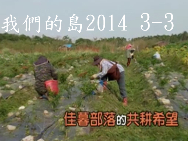 我們的島2014—DVD 3-3.佳暮部落的共耕希望