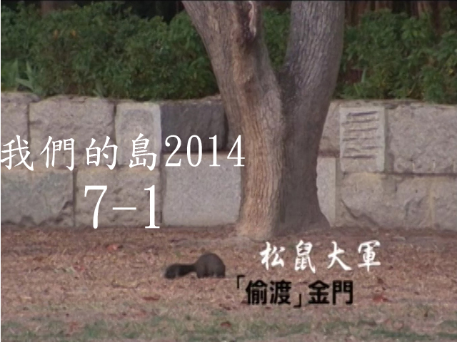我們的島2014—DVD 7-1.松鼠大軍[偷渡]金門