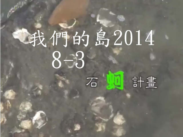 我們的島2014—DVD 8-3.石蚵計畫