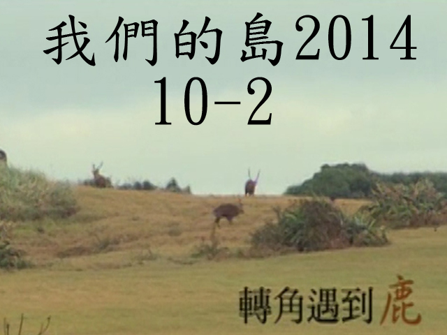 我們的島2014—DVD 10-2.轉角遇到鹿