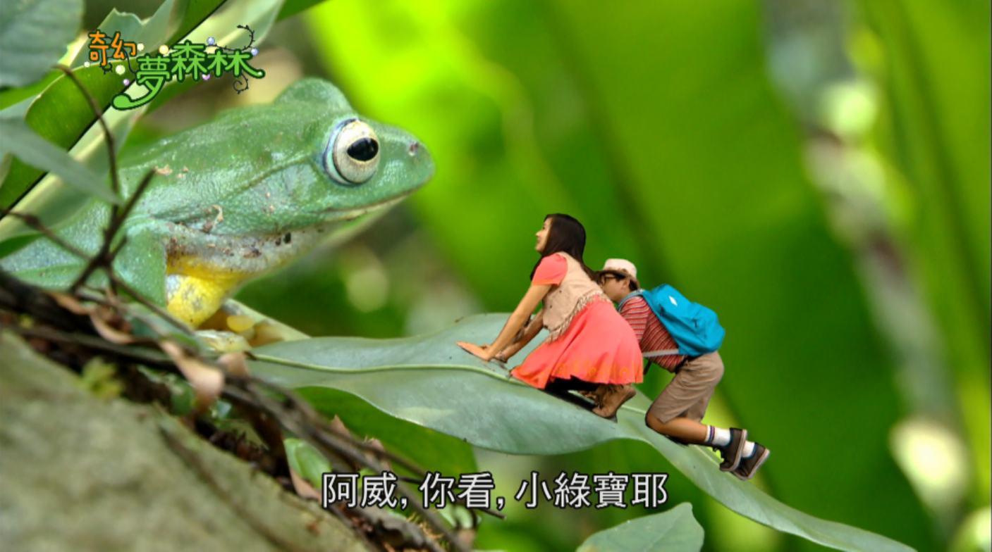 奇幻夢森林 第三集 咕哇怪獸歷險記