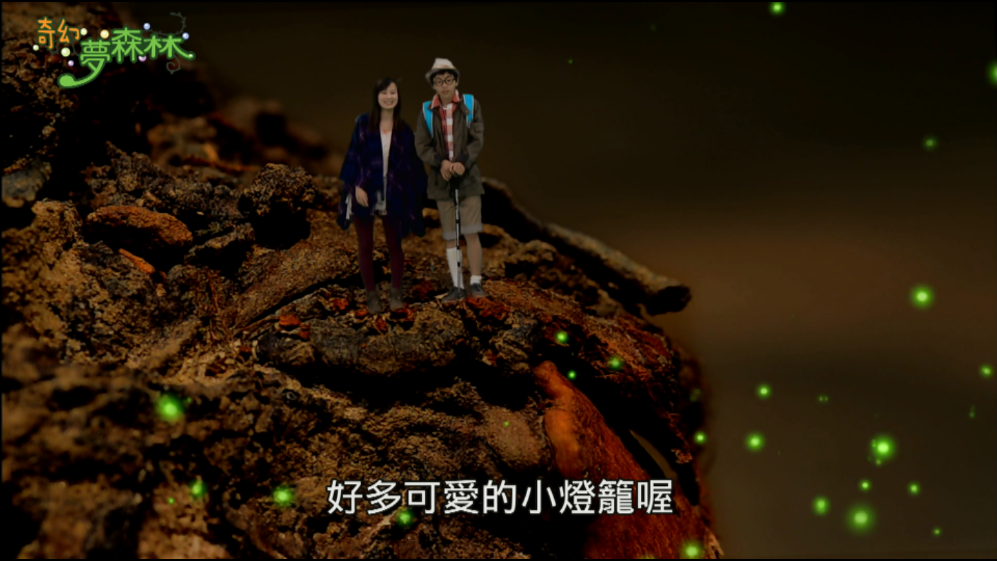 奇幻夢森林 第六集 一閃一閃亮晶晶