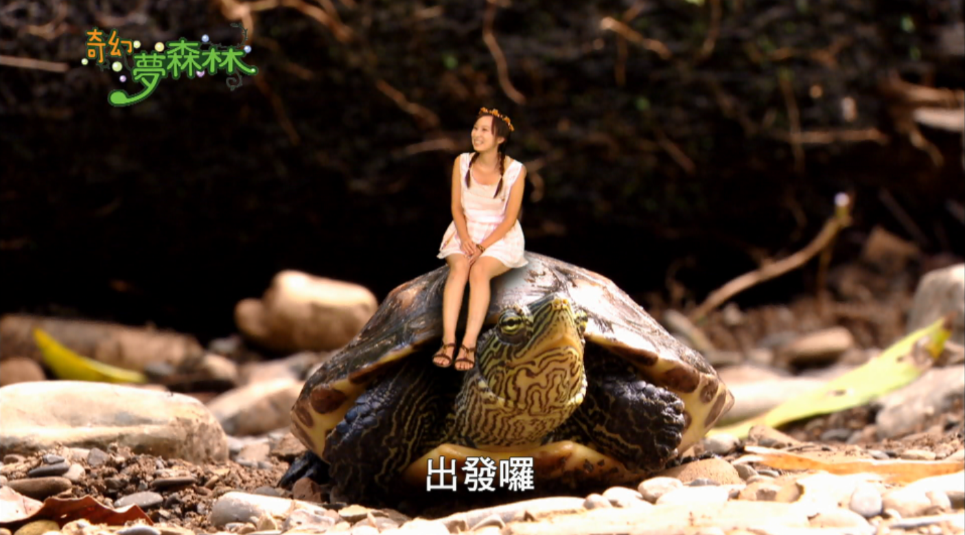 奇幻夢森林 第十二集 魚兒水中游